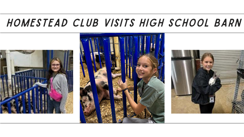 Homestead Club